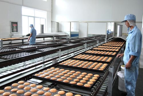 食品滾筒輸送機